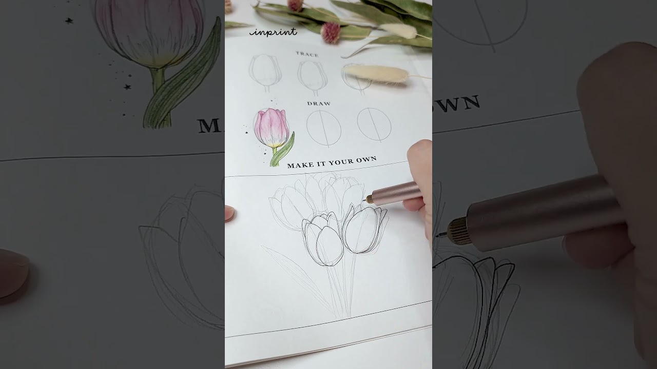 Tulip Flower Drawing Practice #art