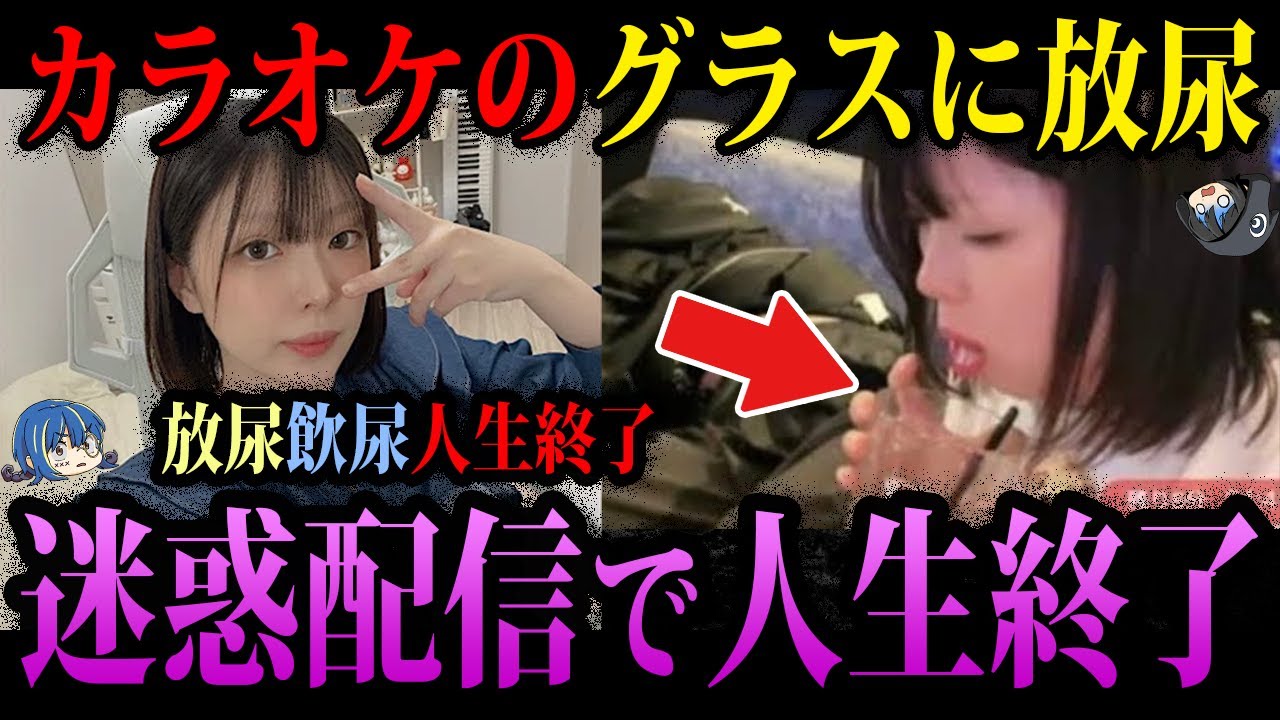 【ゆっくり解説】迷惑配信で人生終了。頭がおかしい配信者４選