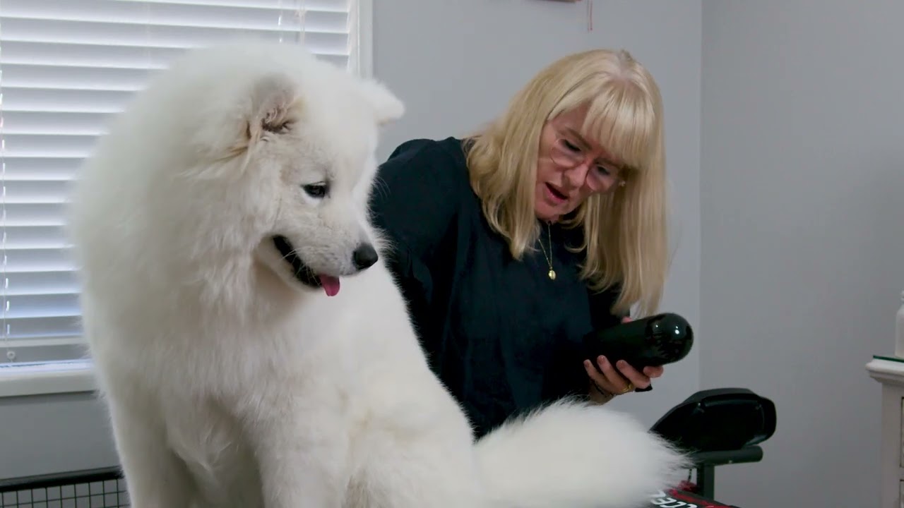 Accell Animal Therapy Product & Information Video July 2023