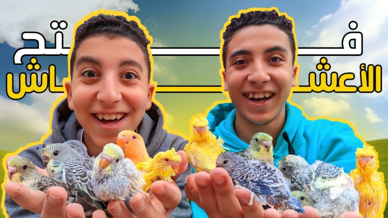 Мощнейшее видео по вскрытию птичьих гнезд🐣🔥