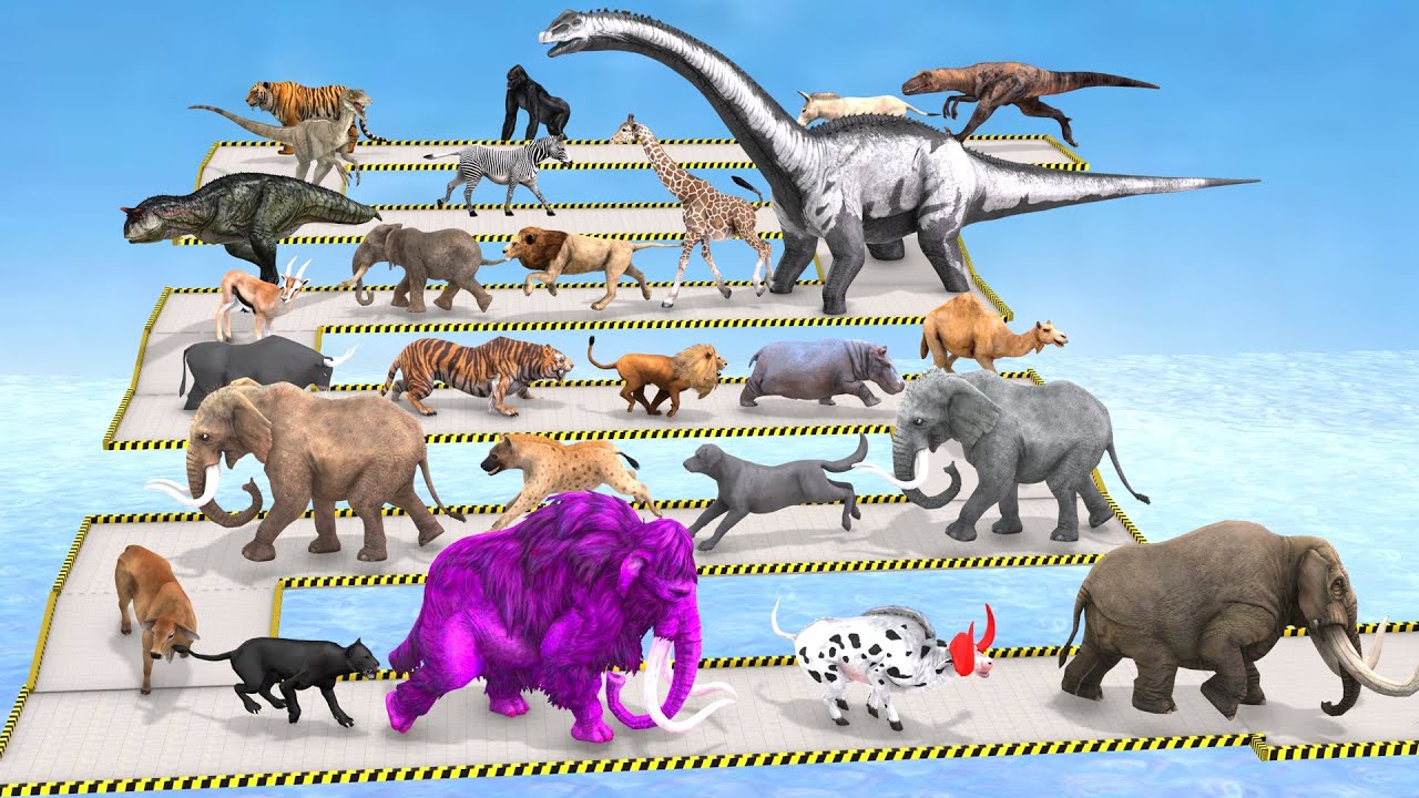 Which Animal vs Dinosaurs Speed Race Run Zigzag Down Course! from Outside Animal Revolt Battle Simul