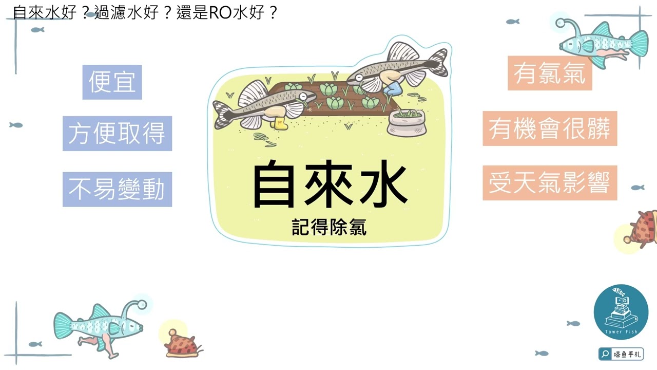 【水族東西軍#2】養水要買什麼？10 分鐘教你新手水質管理重點