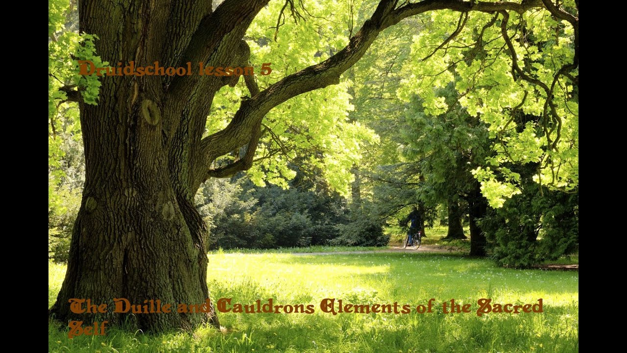 Druidschool Lesson 5 The Duille and Cauldrons elements of the Sacred Self