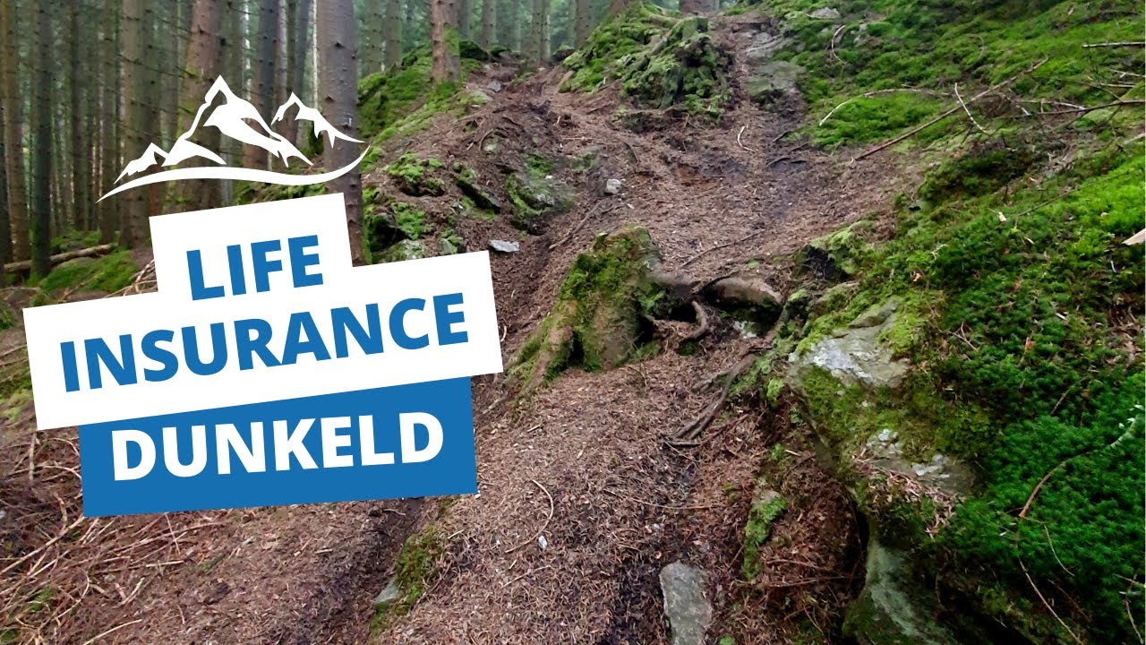 Nearly completed Life Insurance, and other Dunkeld mtb trails