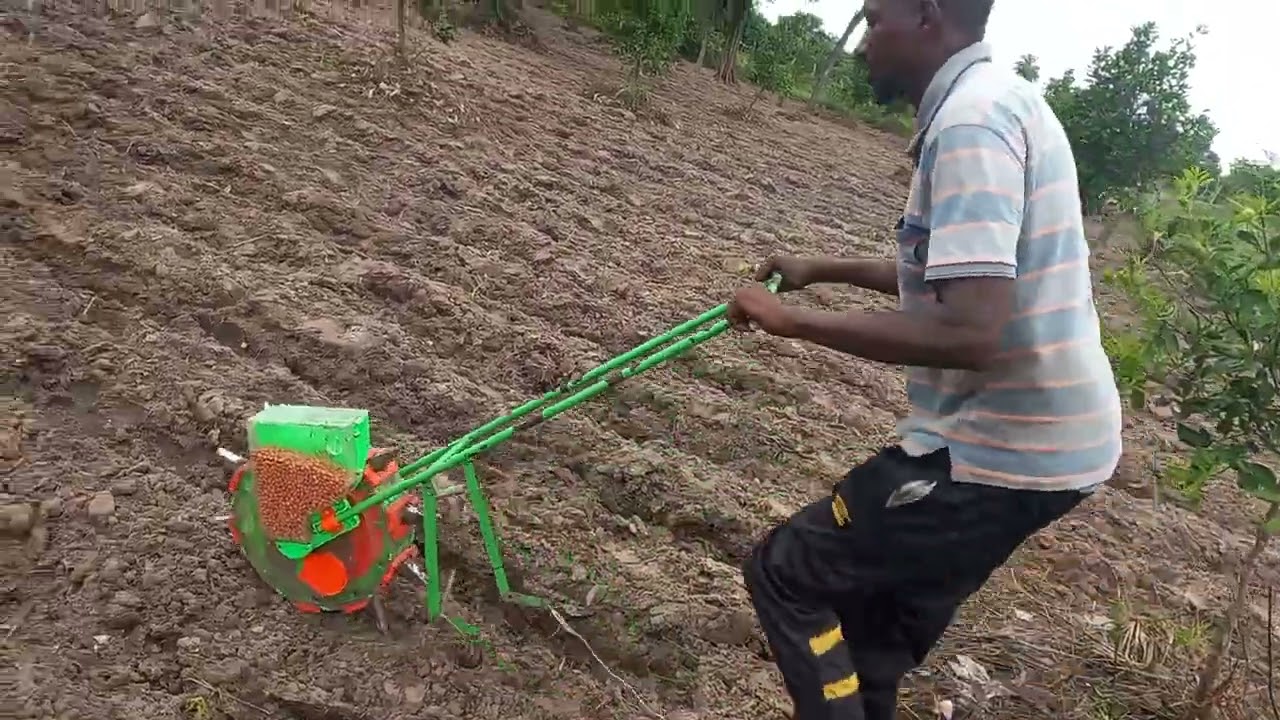 Comment semer les grains d'arachide rapidement ?