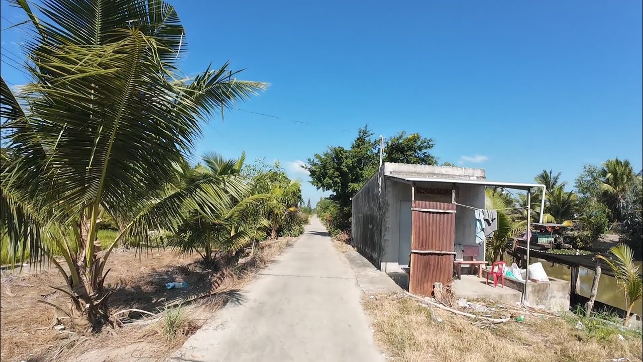 Khám Phá Bông Hoa Đường Nông Thôn Cả Cội.