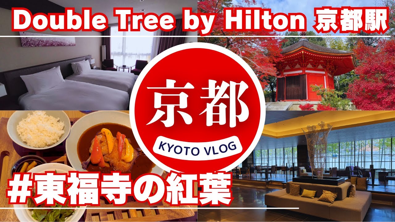 【🇯🇵京都vlog/KYOTO】12月の京都で過ごす１日/東福寺の紅葉と八相の庭/ダブルツリーbyヒルトン京都駅/9階ラウンジフロア/ホテルダイニングのランチ