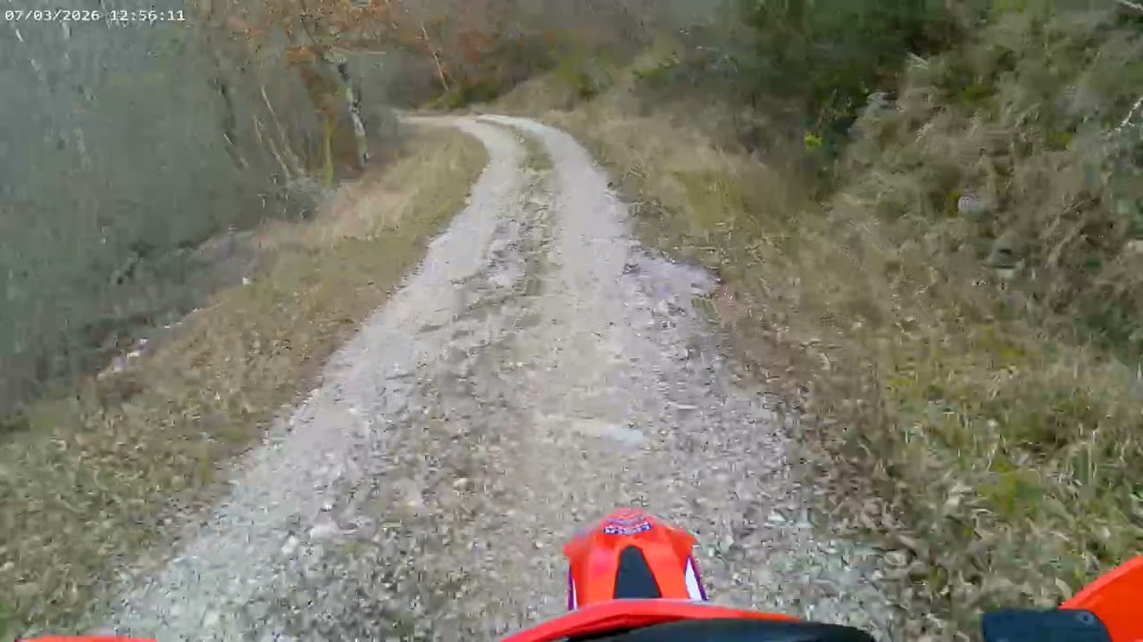 Chianti Classico 🍷 n. 4