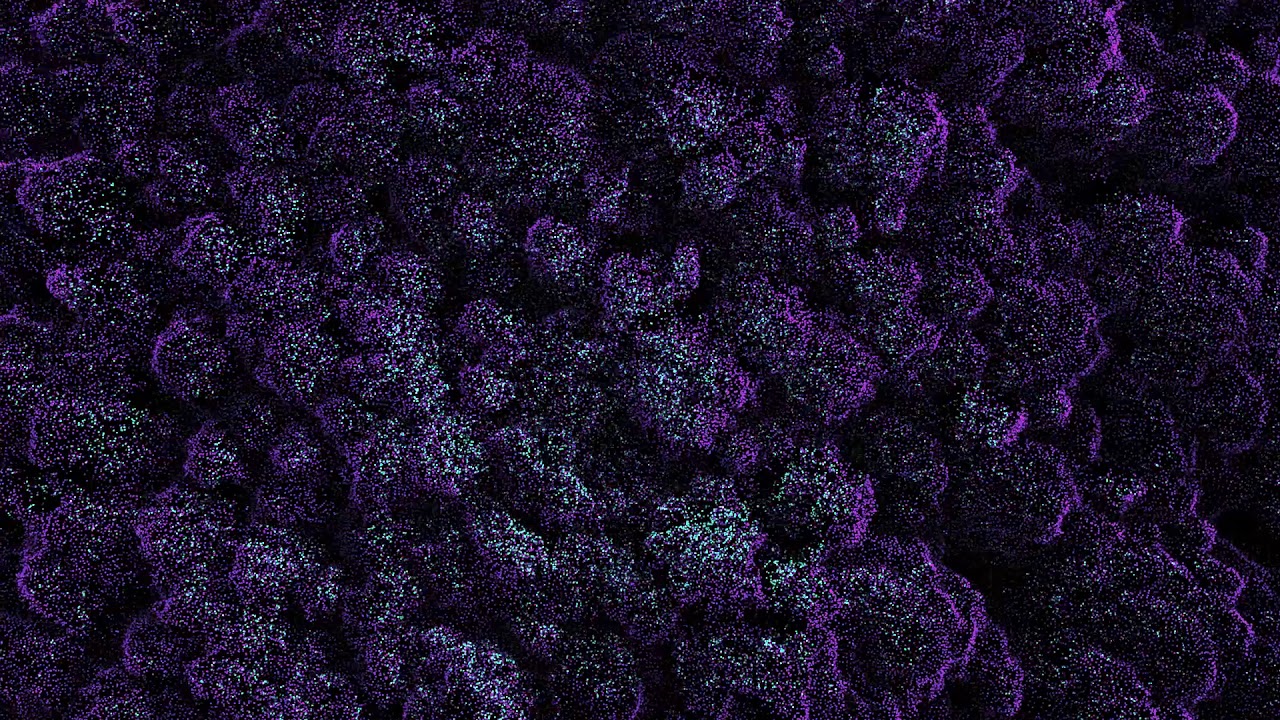 Clams Casino - Cupidwing (Moon Trip Radio Official)