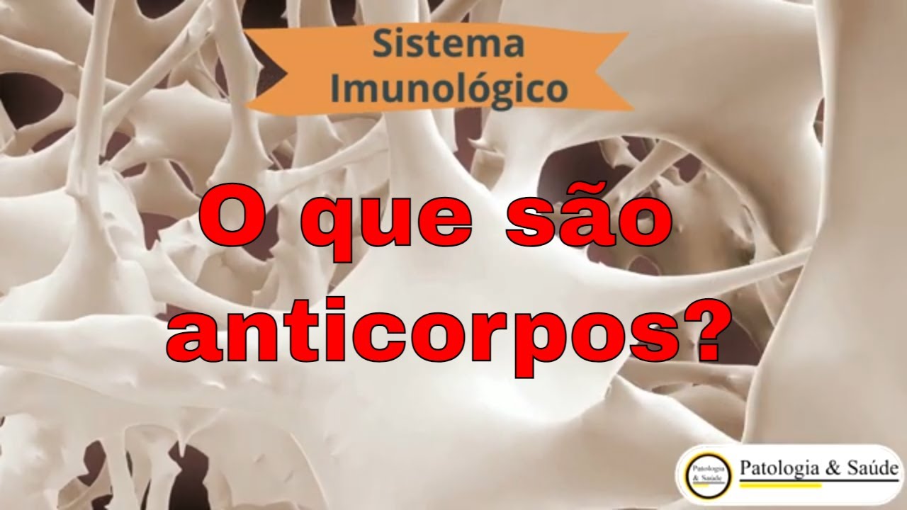 O que s&atilde;o anticorpos?