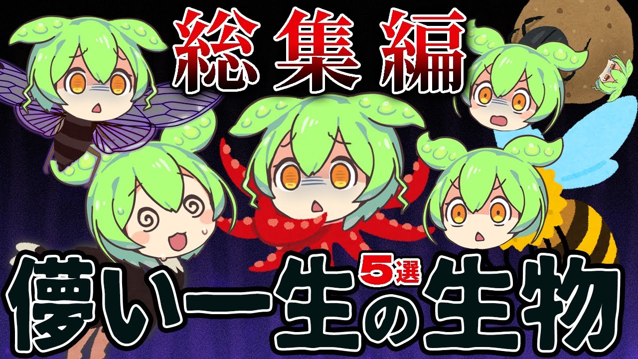 涙なしには語れない！残念な生物まとめ5選【ずんだもん＆ゆっくり解説】