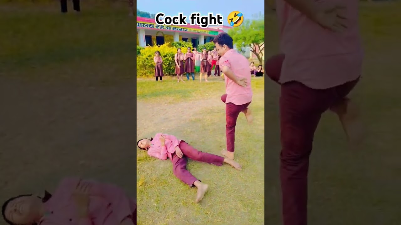 Cock fight 🐓🐓🦢🦢🦤 #shorts #video #viral #cockfight #funnygame #recreationalgame #enjoy