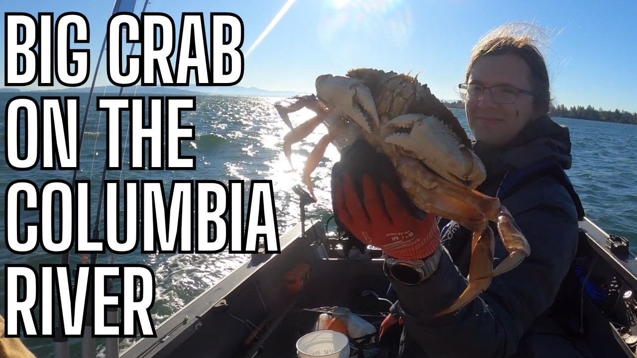 Crabbing Hammond 10:15:25, #crabbing, #dungenesscrab, #columbiariver,#coho,