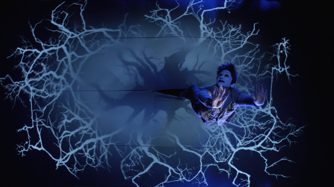 Julie Taymor's A Midsummer Night's Dream