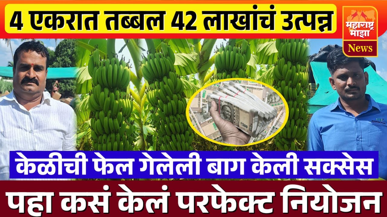 ♦️4 एकरात 42 लाखांचं उत्पन्न | केळीची फेल गेलेली बाग करून दाखवली सक्सेस..