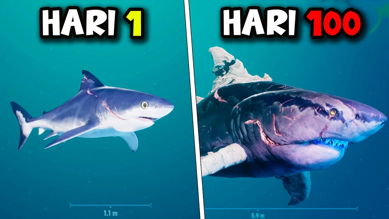 100 HARI MENJADI IKAN HIU PALING GANAS DI SAMUDRA - Maneater INDONESIA PART 1