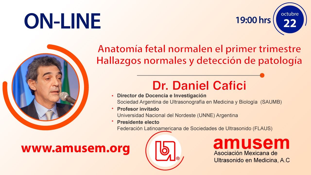 Anatomía fetal normal en el primer trimestre. Hallazgos normales y detección de patología