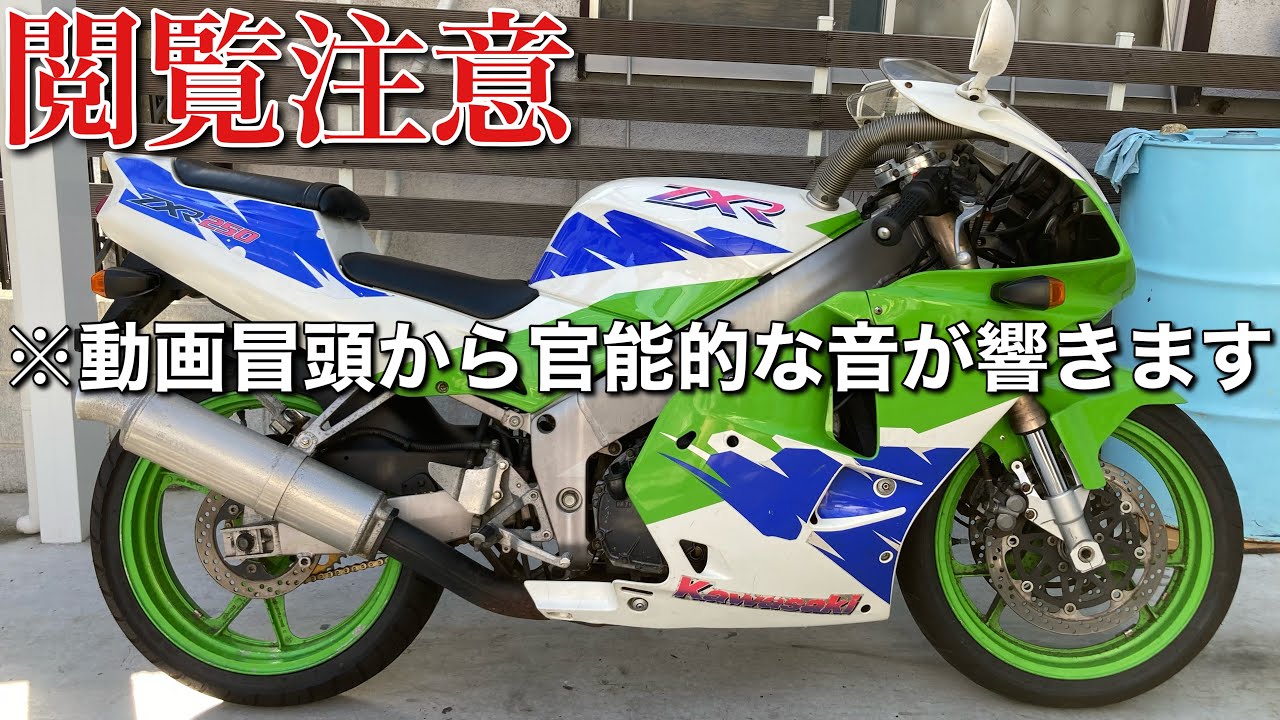 【ZXR250】さぁ、一緒に酔いしれましょう