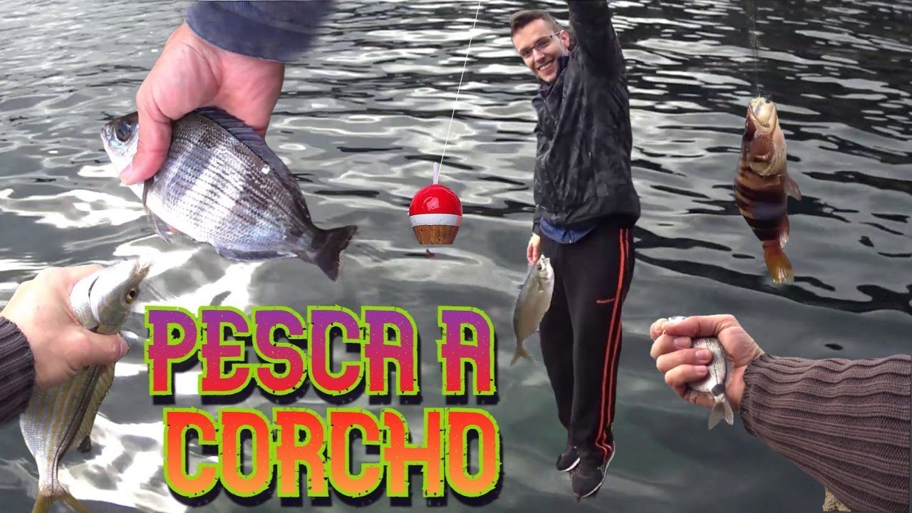 Pesca a corcho, sin carrete, con masilla, muchas capturas, pescamos salpas xl.
