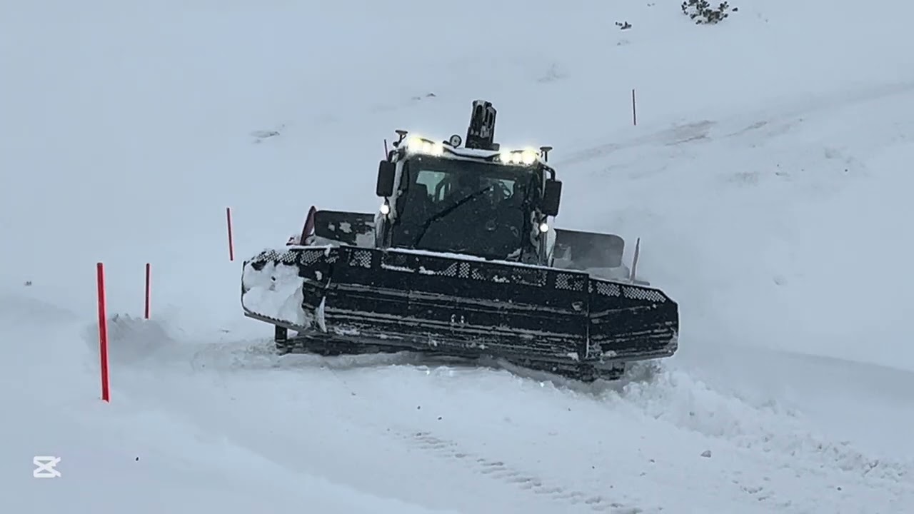 Rolba 