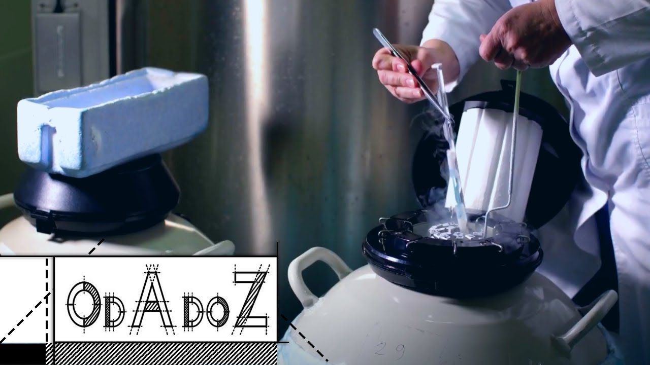 Jak wygląda proces produkcji gazów? | Air Products