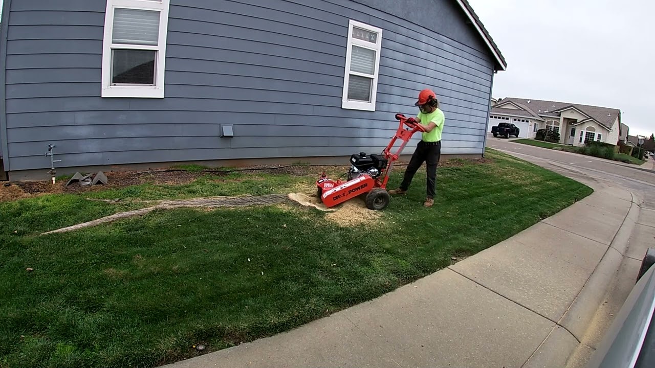 DK2 Stump Grinder in action