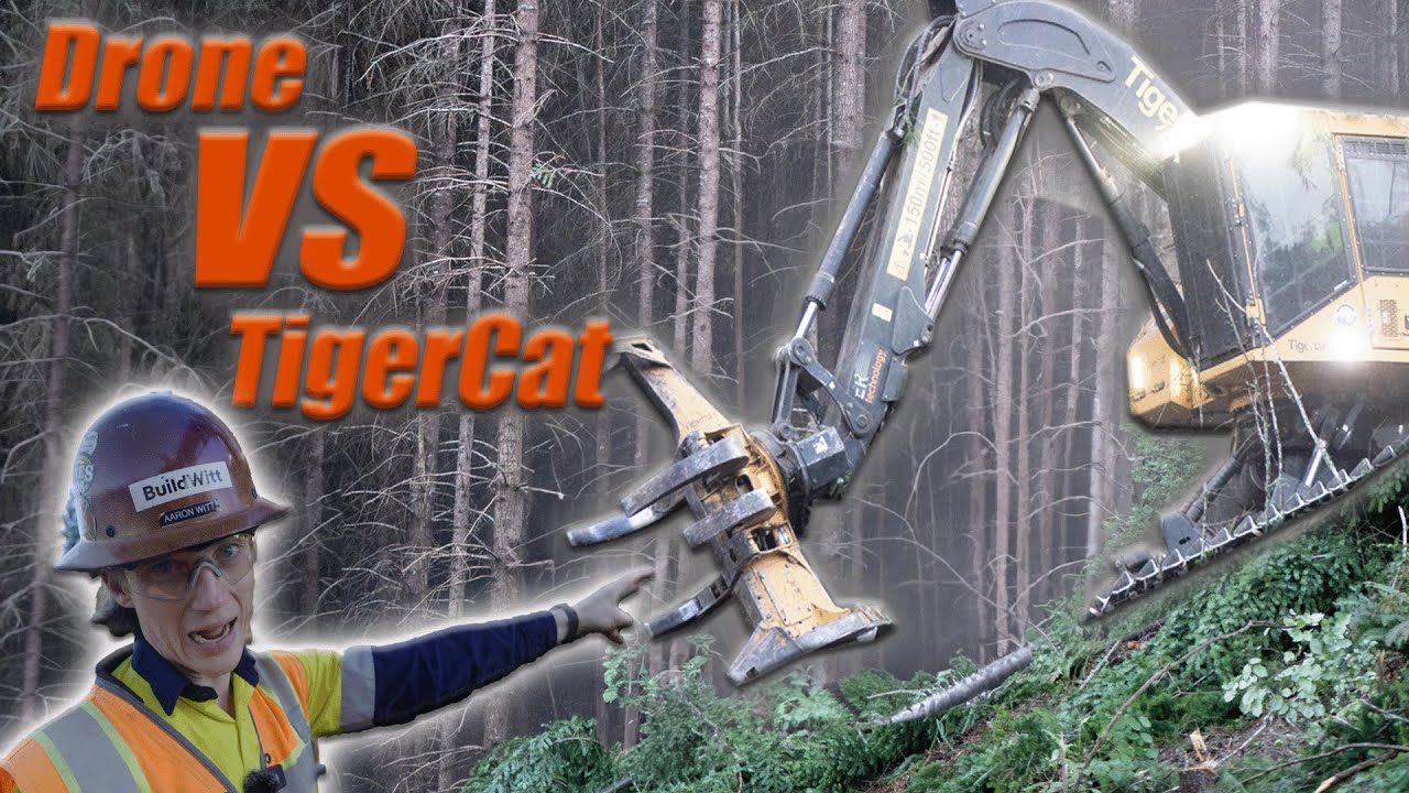 Лесозаготовительная машина Pacific Northwest I Tigercat Feller Buncher