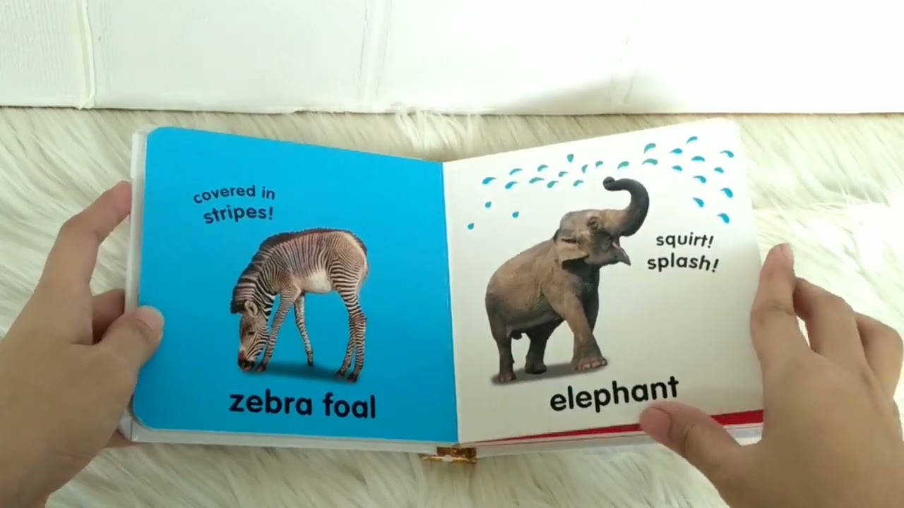 DK Baby Touch and Feel ANIMALS Board Books with touchy-feely textures on every pages (NEW VERSION)