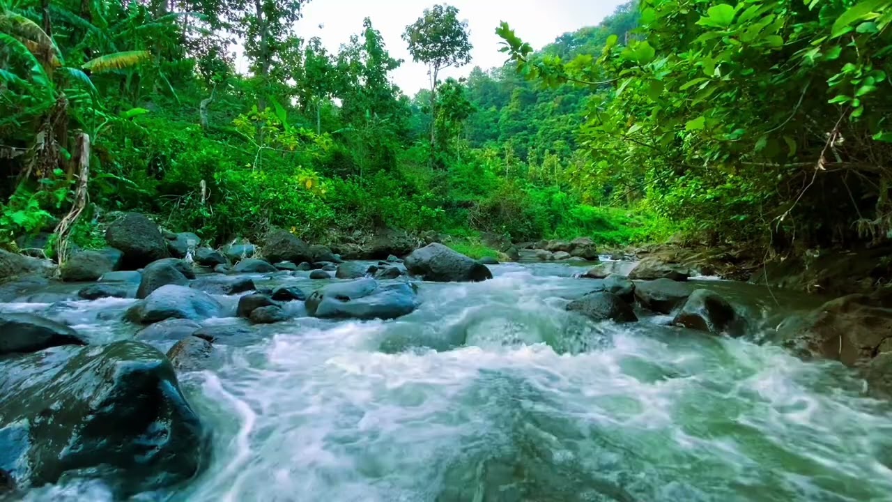 Indonesian River Atmosphere 4K UHD | Calm Natural River Sounds for Sleeping and Relaxing