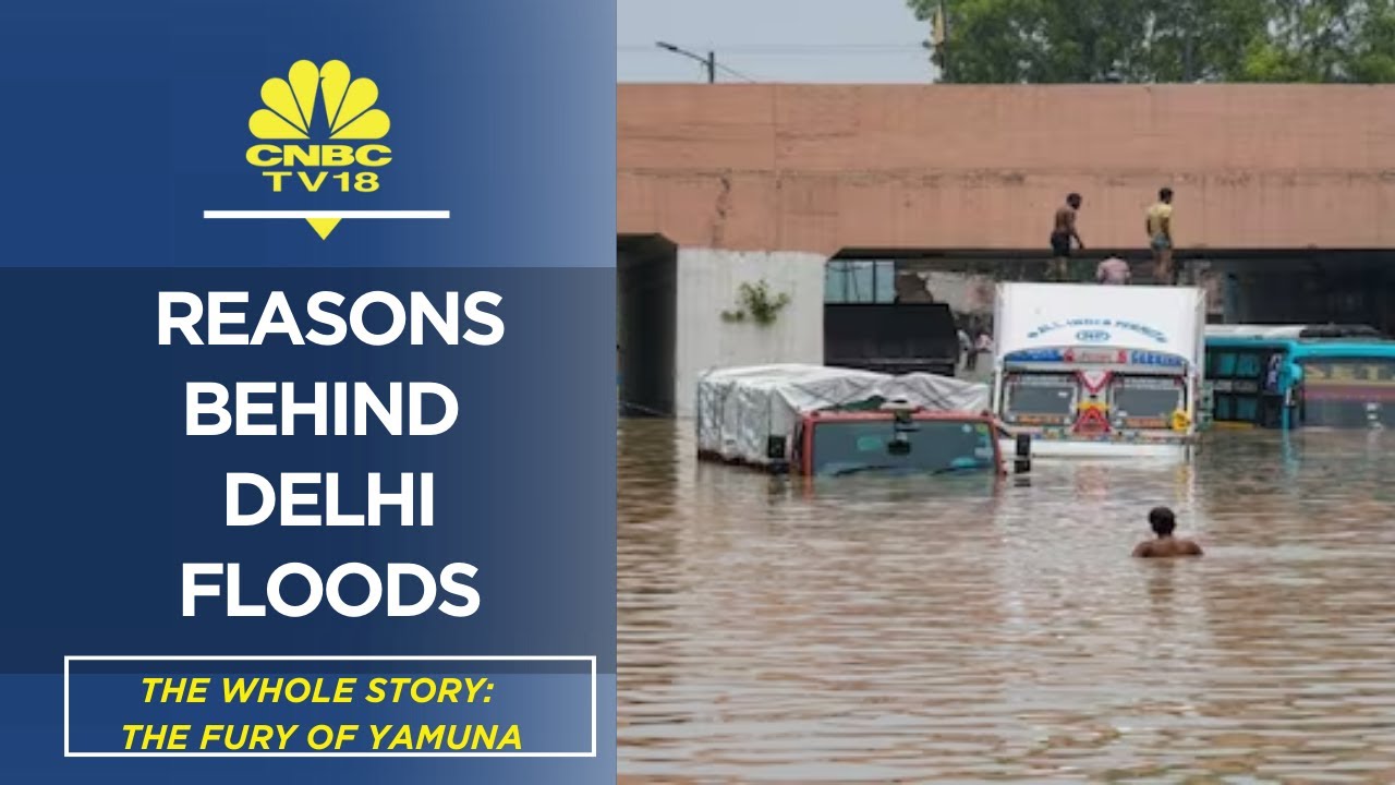 Delhi Flood News: Why Yamuna Is Above Danger Mark? WATCH | The Whole Story | CNBC TV18