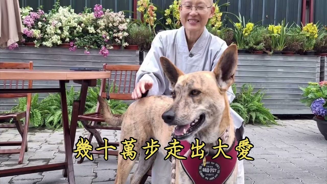 靜思精舍 采風《斑斑的福袋》