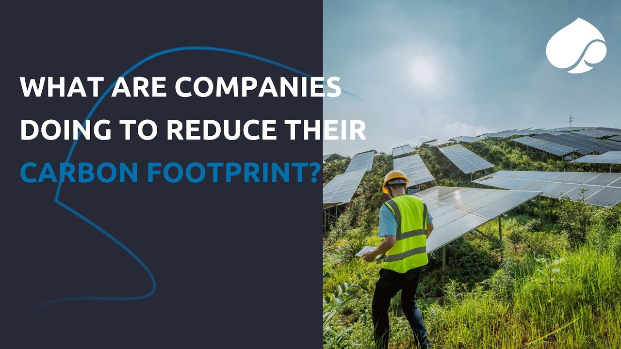 What Are Companies Doing To Reduce Their Carbon Footprint?
