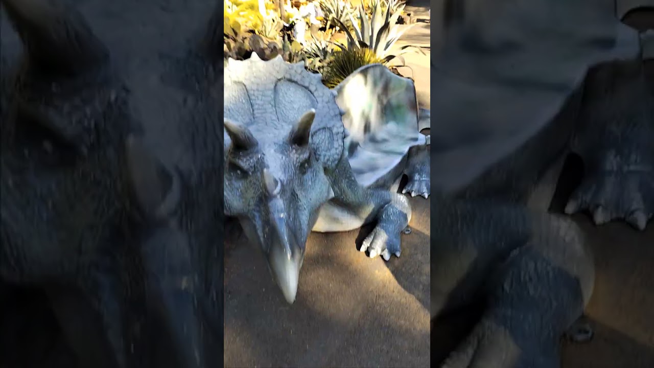 動物園その1