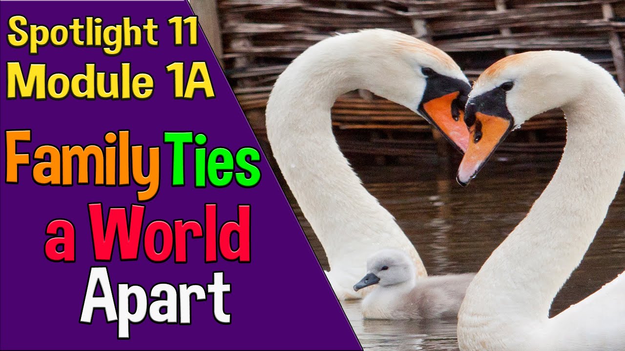 Spotlight 11 Модуль 1A. Family Ties a World Apart