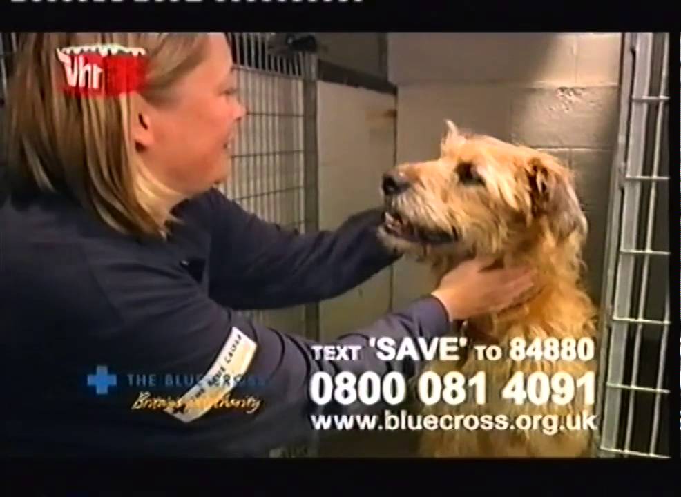 VH1 UK continuity & adverts 15th December 2008
