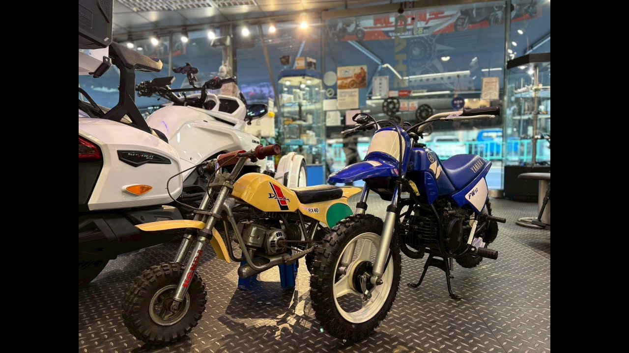 【普洛吉村】PW50 老車翻新,珍藏復活 【預約專線:02-2779 0589】