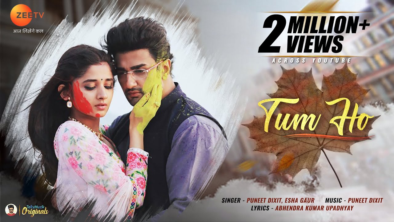 Tum Ho - Full Song | HD Video | Guddan Tumse Na Ho Payega | Zee TV | Puneet Dixit | Esha Gaur