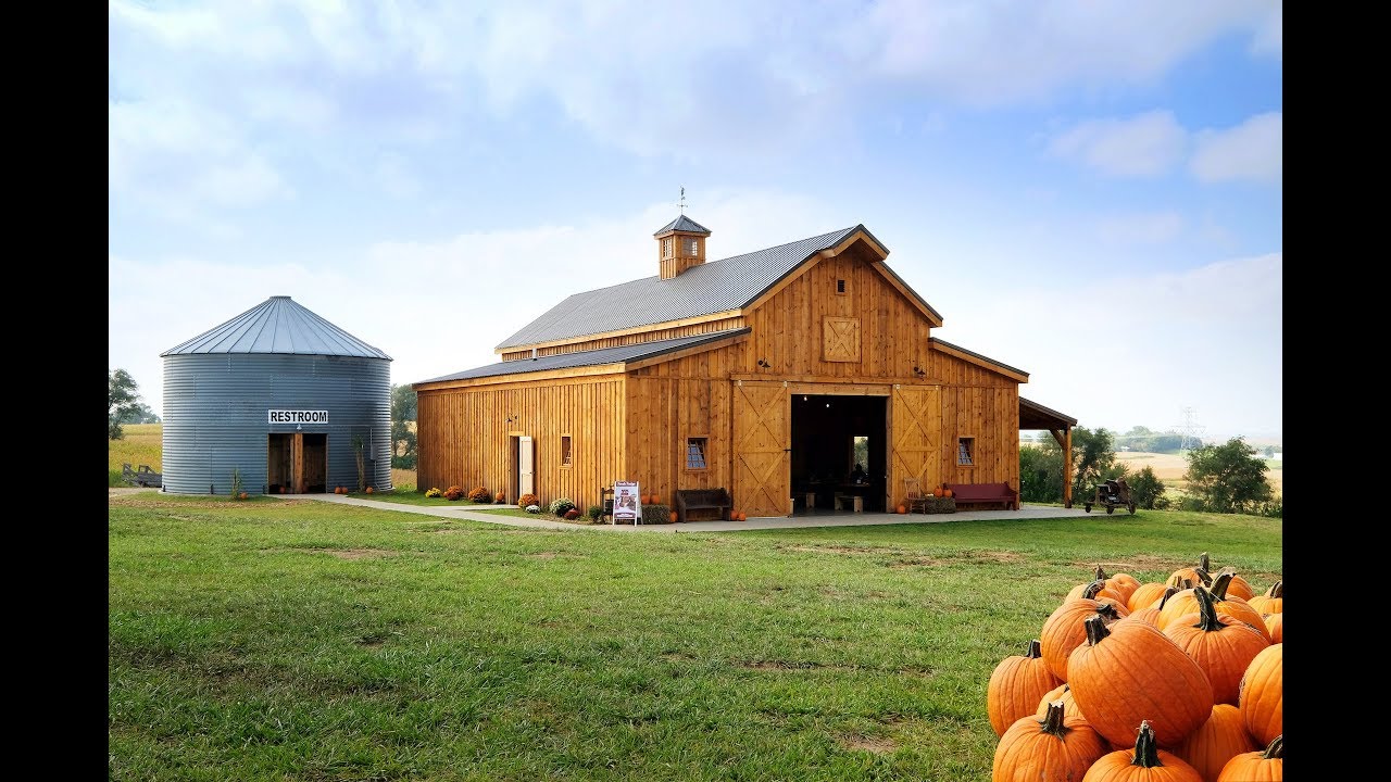 Barn Kings at Skinny Bones Pumpkin Patch