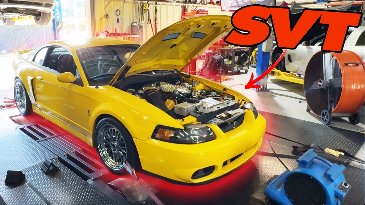 COBRA LAYS DOWN BIG POWER AT MUSTANG WEEK 2025!