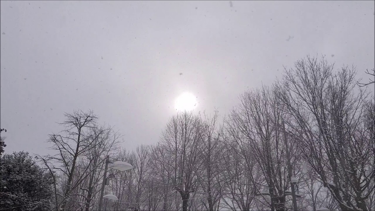 NUSCO - Il Valzer dei  fiocchi di neve (7 gennaio 2019)