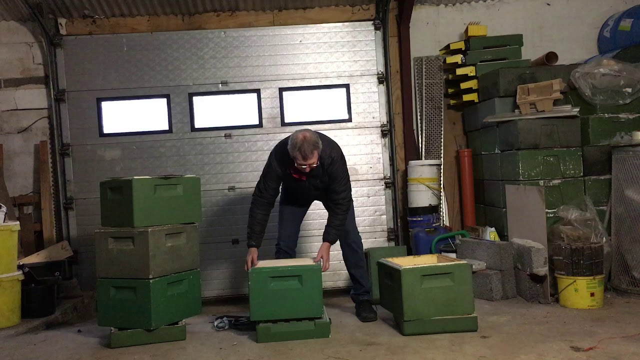 Biavl. En nem måde at finde dronningen på