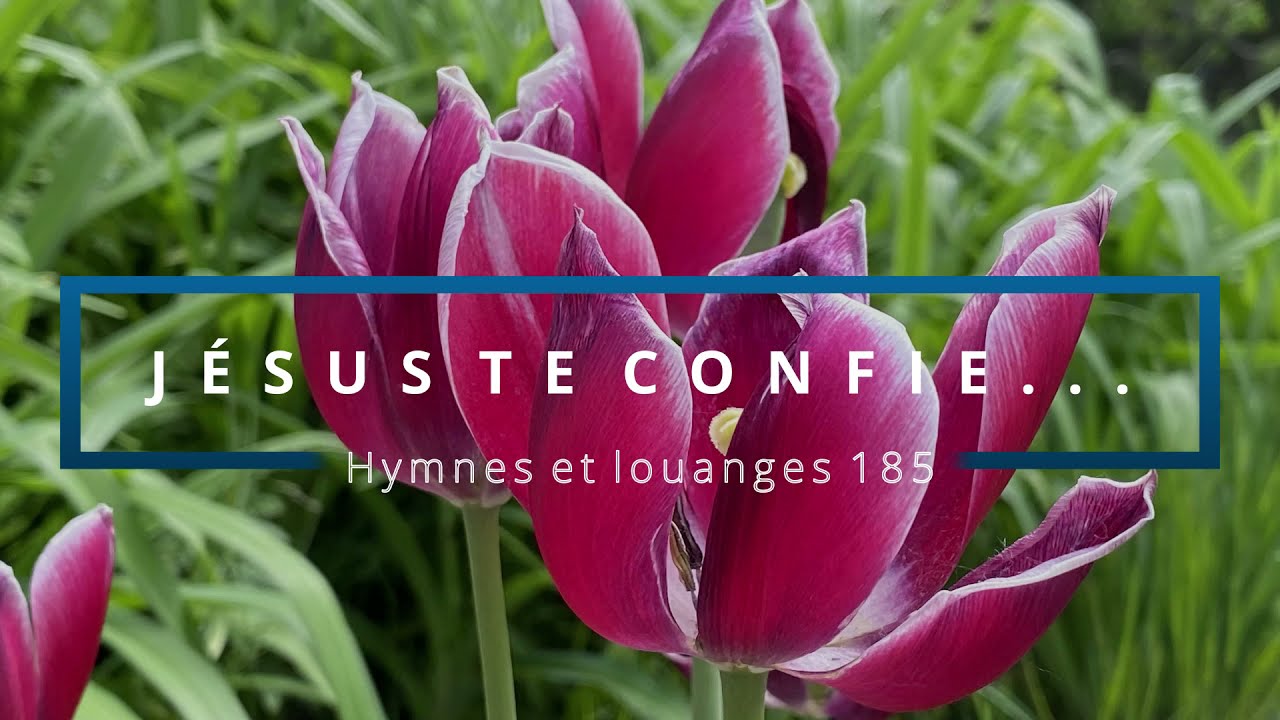 185 - Jésus te confie... (voix) | Hymnes et louanges | Audréanne Cloutier