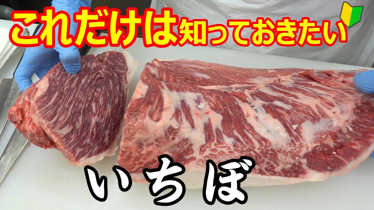 モモ肉のスター！！牛肉の部位【イチボ】を肉屋が解説