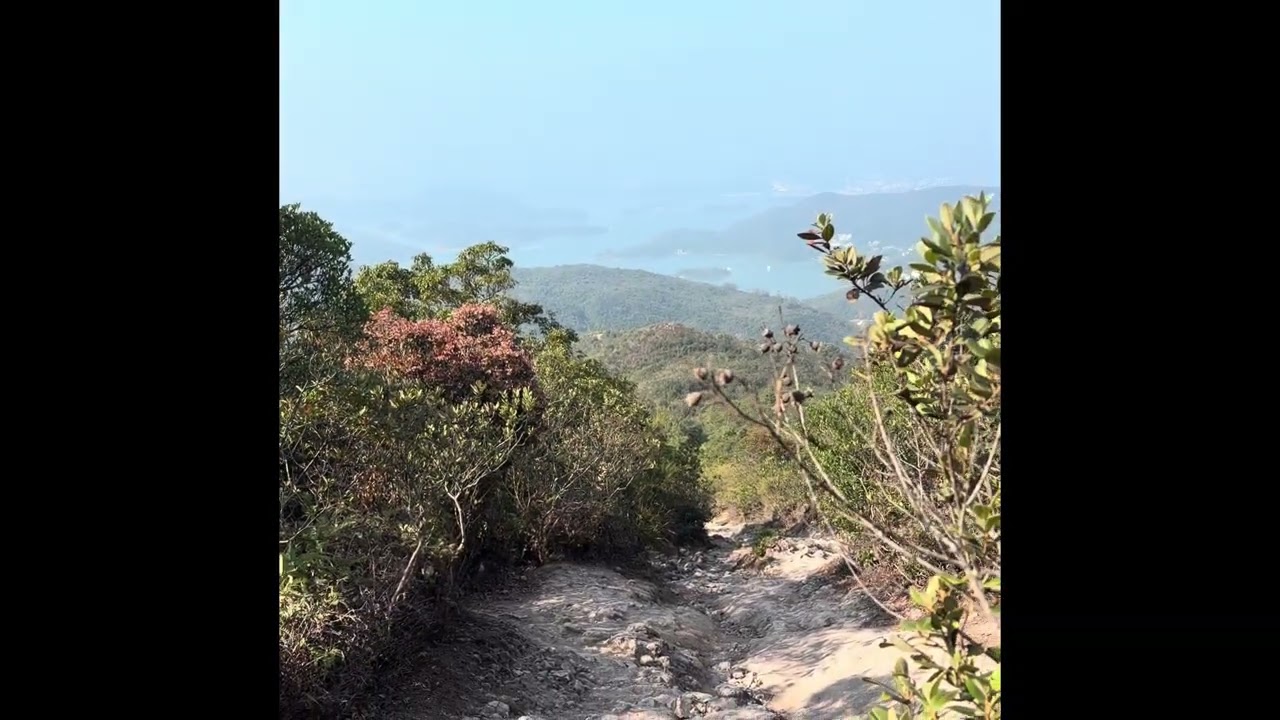 大枕蓋賞吊鐘