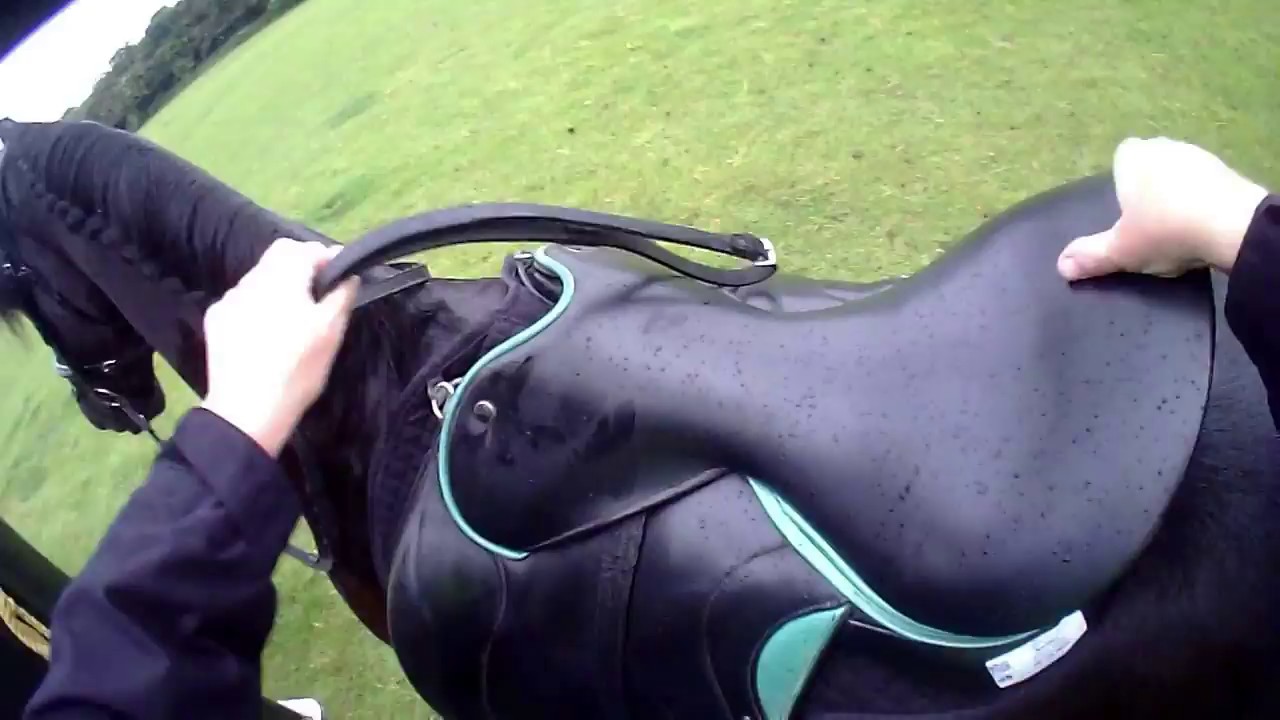 26k Endurance riding on a Friesian Horse ☔️