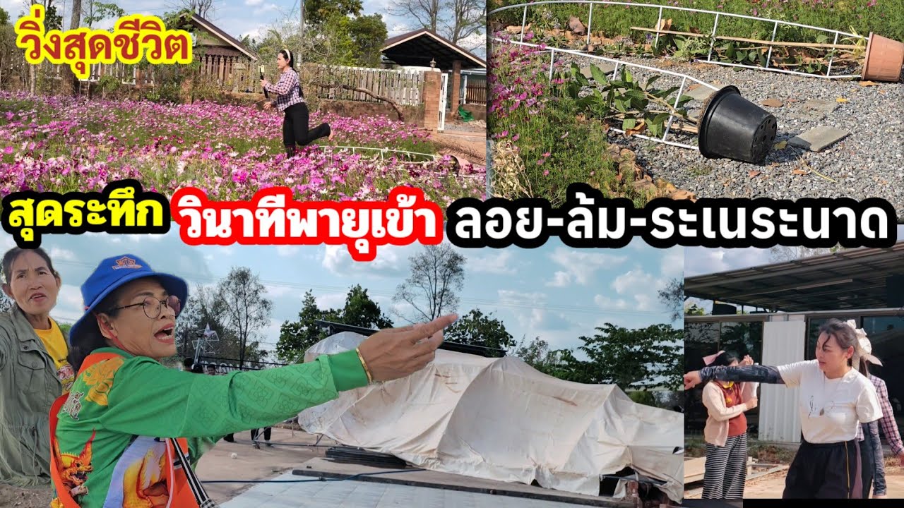 สุดระทึก! พายุลมหัวกุดเข้า2ลูก เต็นท์ปลิวลอยผ่านองค์ปู่สุดปาฏิหาริย์