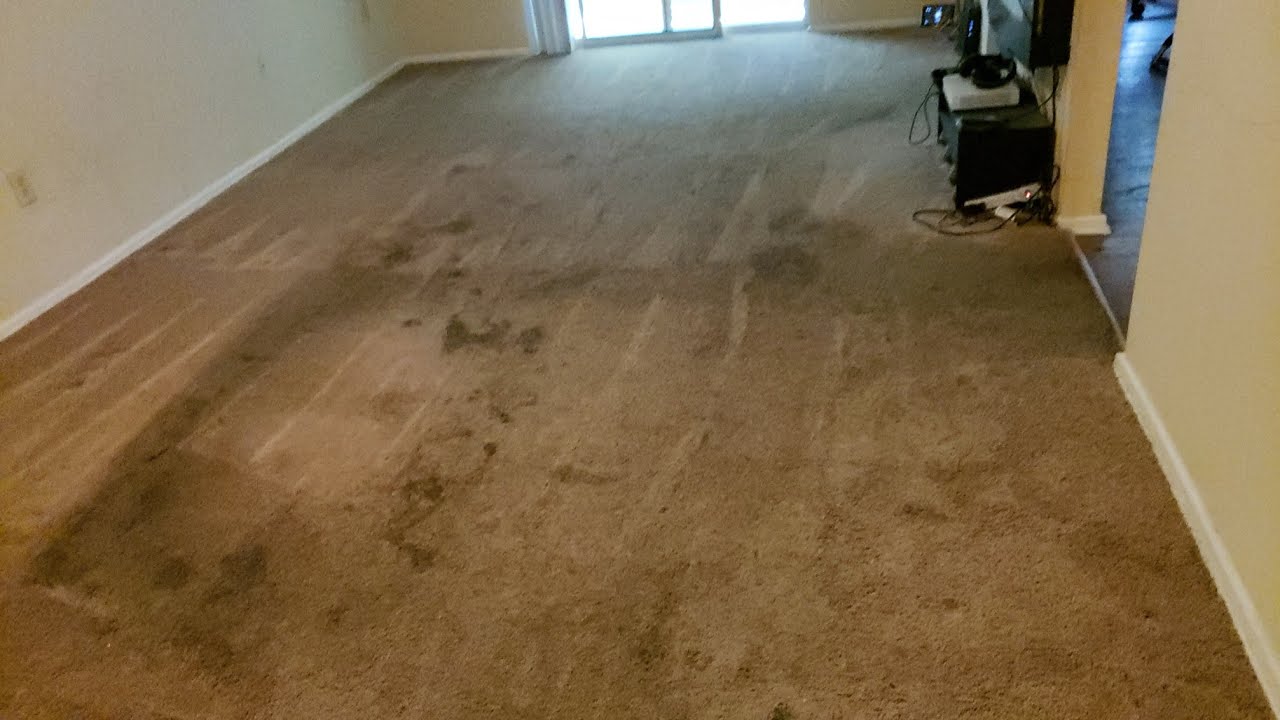 Super Dirty Carpet with wear and tear| Vacuum ASMR |Carpet cleaning vlog Episode 270