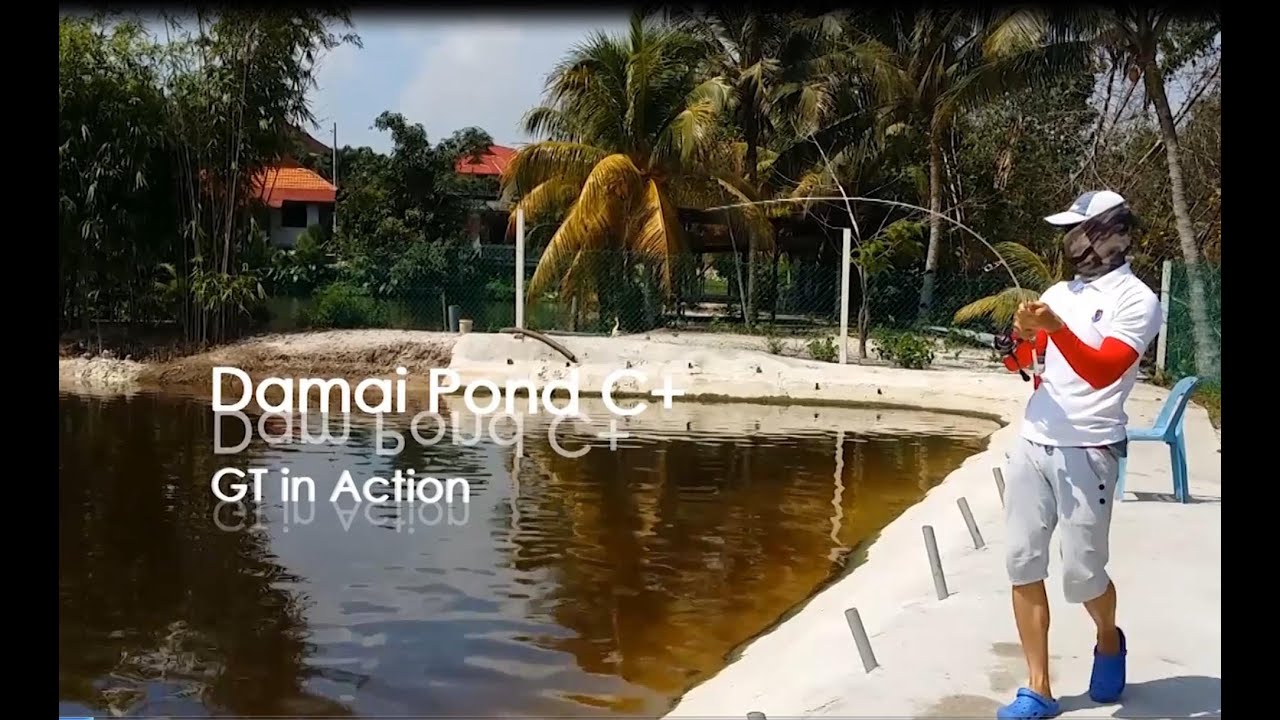 Damai GT Pond C+