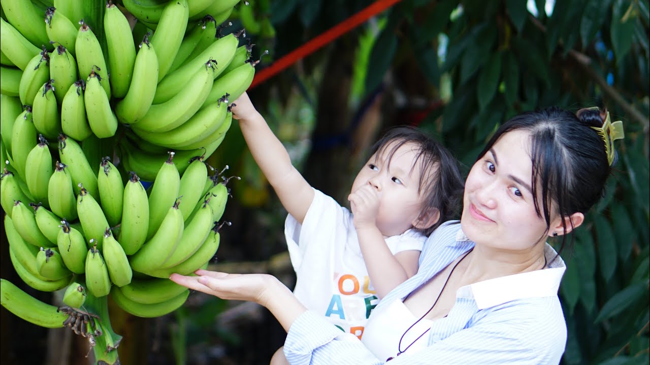Đi thăm vườn chuối mô ở Trảng Bom- Gia Kiệm| Vườn chuối mô nhà ông | Merry Sunny Family