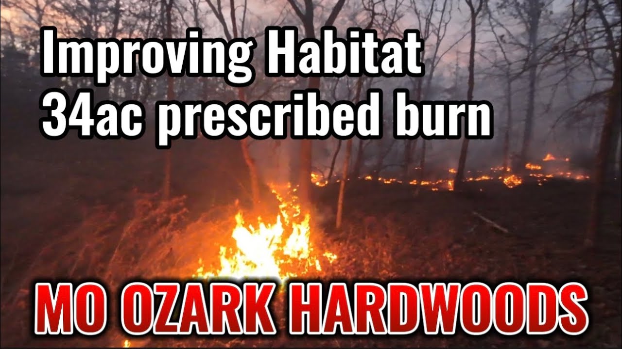 Follow up prescribed fire after TSI/FSI project for deer and turkeys